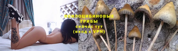 метамфетамин Аркадак