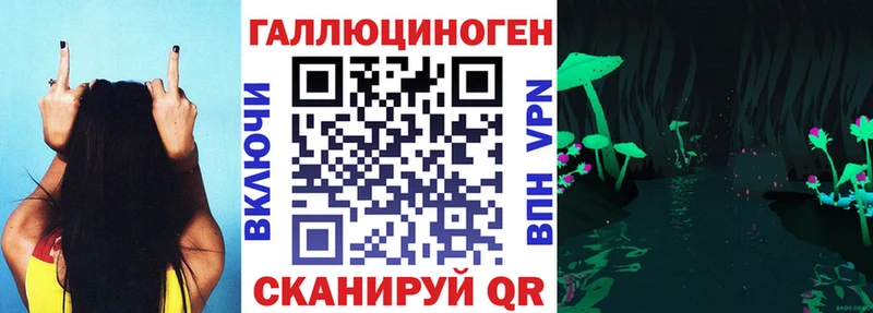 Псилоцибиновые грибы MAGIC MUSHROOMS  KRAKEN маркетплейс  Аша 